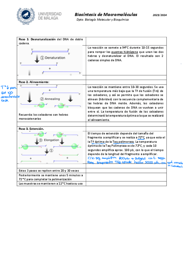 Miniatura del documento Ejercicios-practicas (y diseño cebadores).pdf