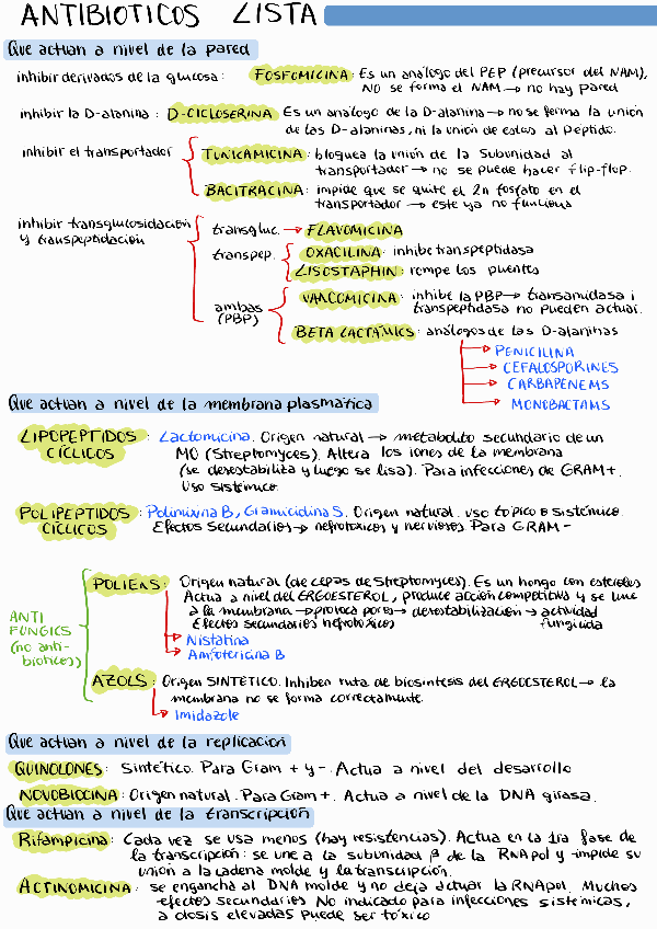 Miniatura del documento LLISTA-ANTIBIOTICS-FINAL.pdf