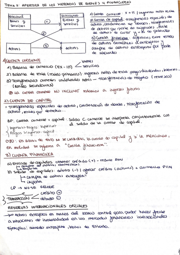 Miniatura del documento TEMA-3-Macro-2.pdf