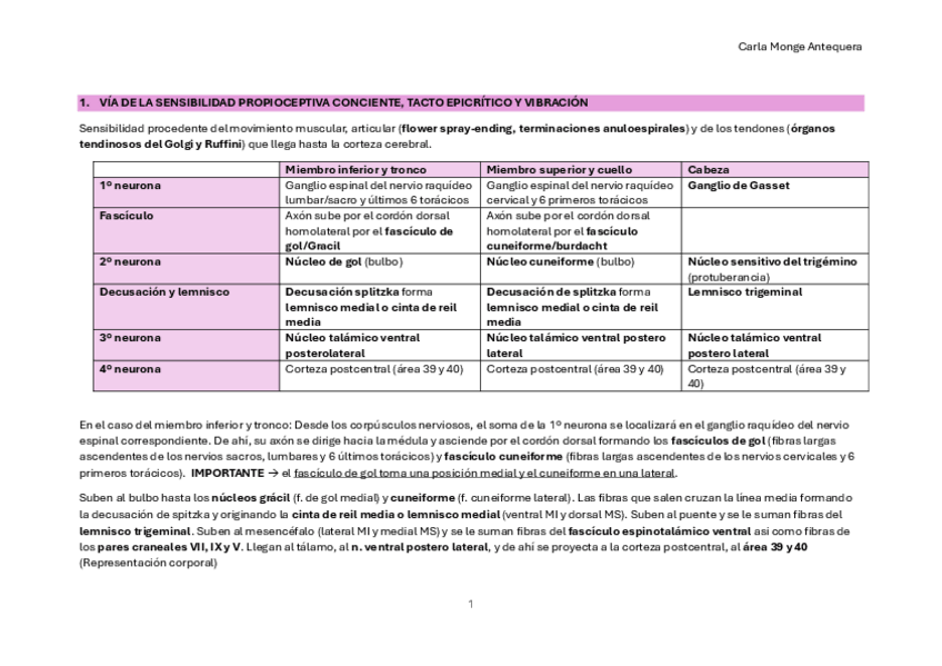 Miniatura del documento VIAS-NERVIOSAS.pdf