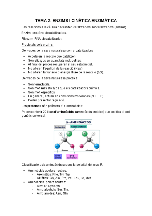 Miniatura del documento Apuntes-Bioquimica-Tema-2-Enzims-i-cinètica-enzimàtica..pdf