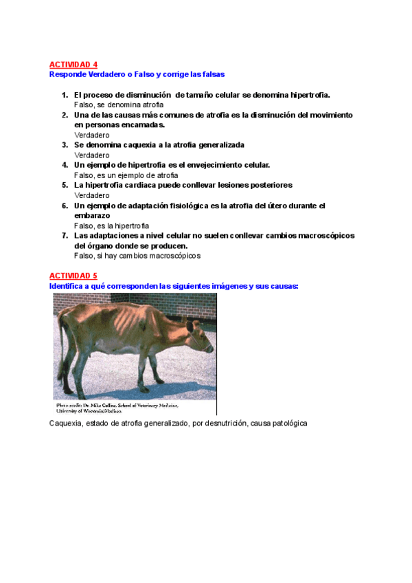 Miniatura del documento ACTIVIDADES-TEMA-5-ADAPTACION-Y-ALTERACION-CELULAR-LESIONES-REVERSIBLES-E-IRREVERSIBLES.pdf