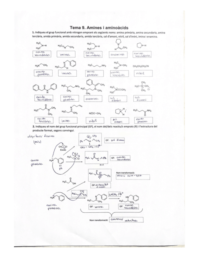 Miniatura del documento Exercicis-de-repas-Tema-9.pdf