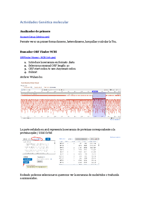 Miniatura del documento Actividades-Genetica-molecular.docx.pdf