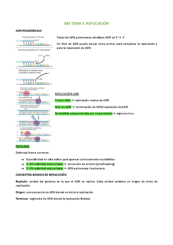 Miniatura del documento BM-TEMA-3.pdf
