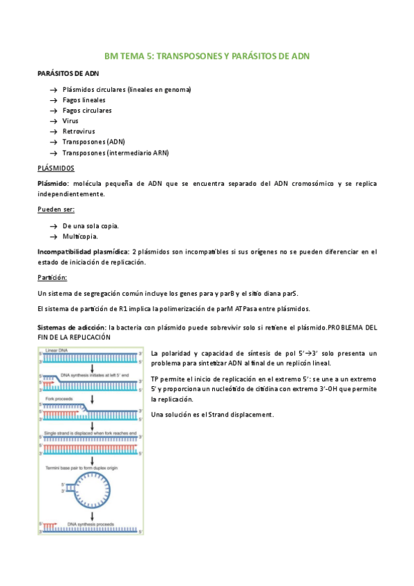 Miniatura del documento BM-TEMA-5.pdf
