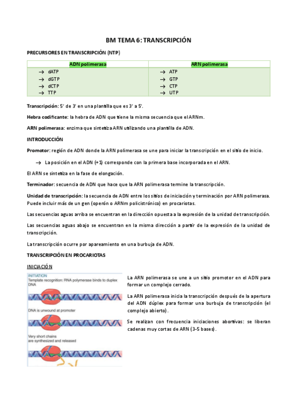 Miniatura del documento BM-TEMA-6.pdf