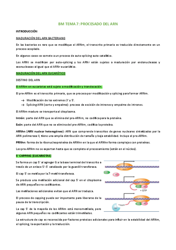 Miniatura del documento BM-TEMA-7.pdf