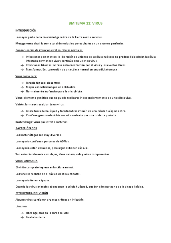 Miniatura del documento BM-TEMA-11.pdf