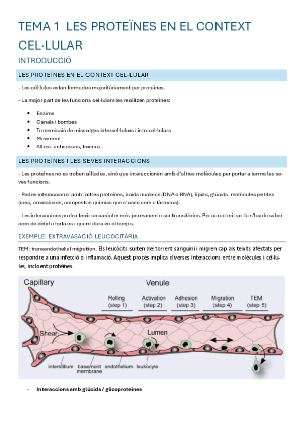 Miniatura del documento IQP-T-1-3.pdf