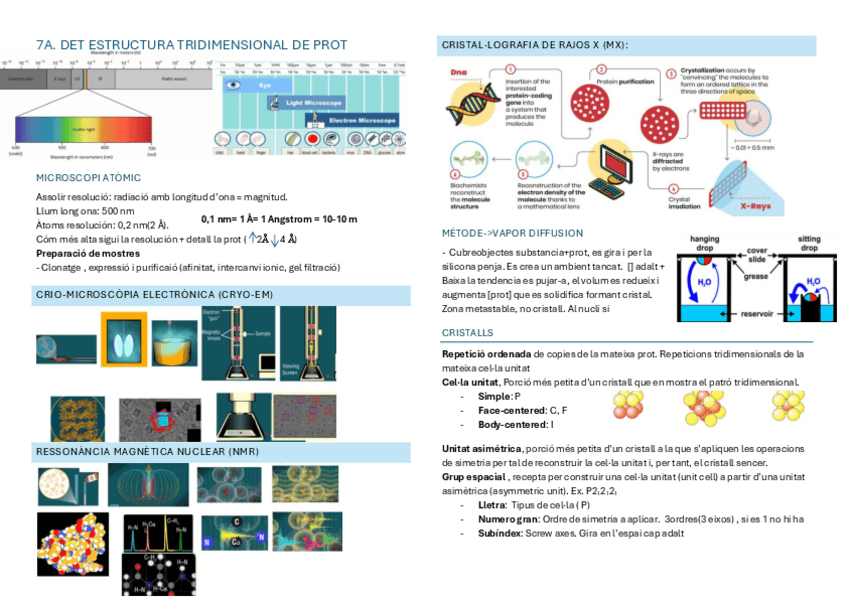 Miniatura del documento Resumen-IQP-T7-9.pdf