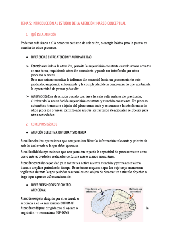 Miniatura del documento Tema-5-Percepcion-y-Atencion.pdf