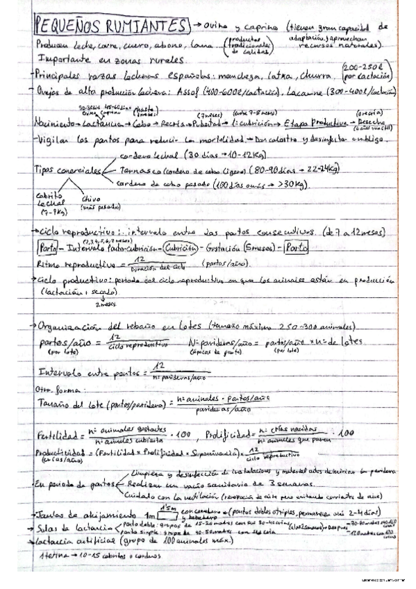 Miniatura del documento Resumen-Pequenos-Rumiantes.pdf