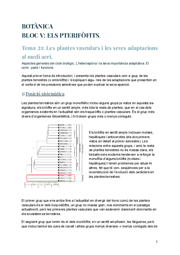 Miniatura del documento Botanica-bloc-V.pdf
