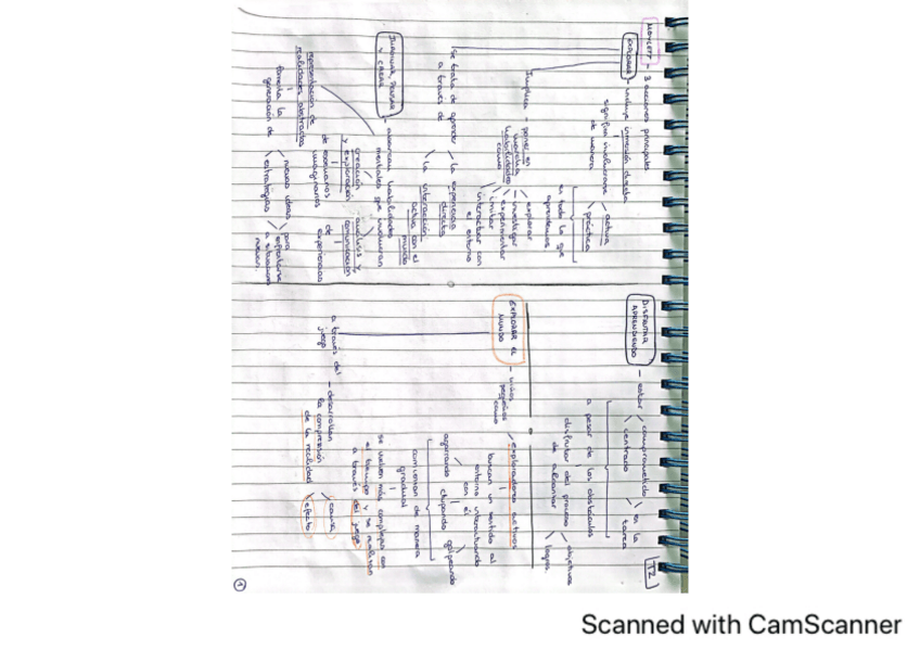 Miniatura del documento Esquemas-tema-2.pdf