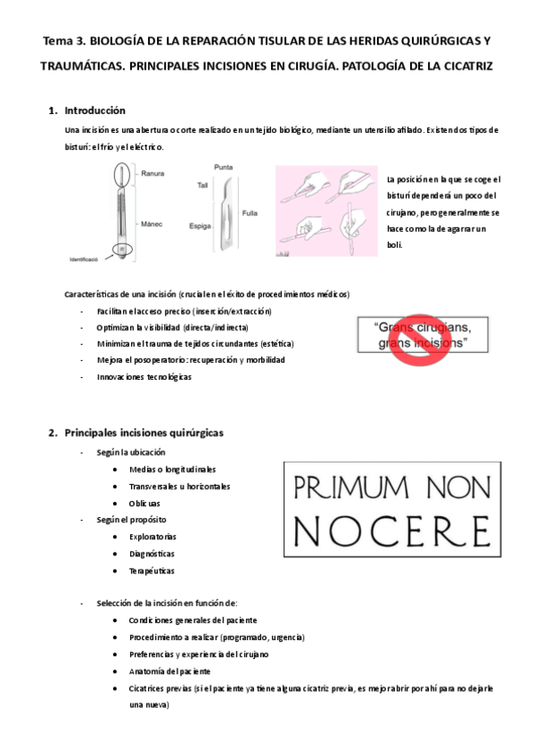 Miniatura del documento ICClase3.pdf