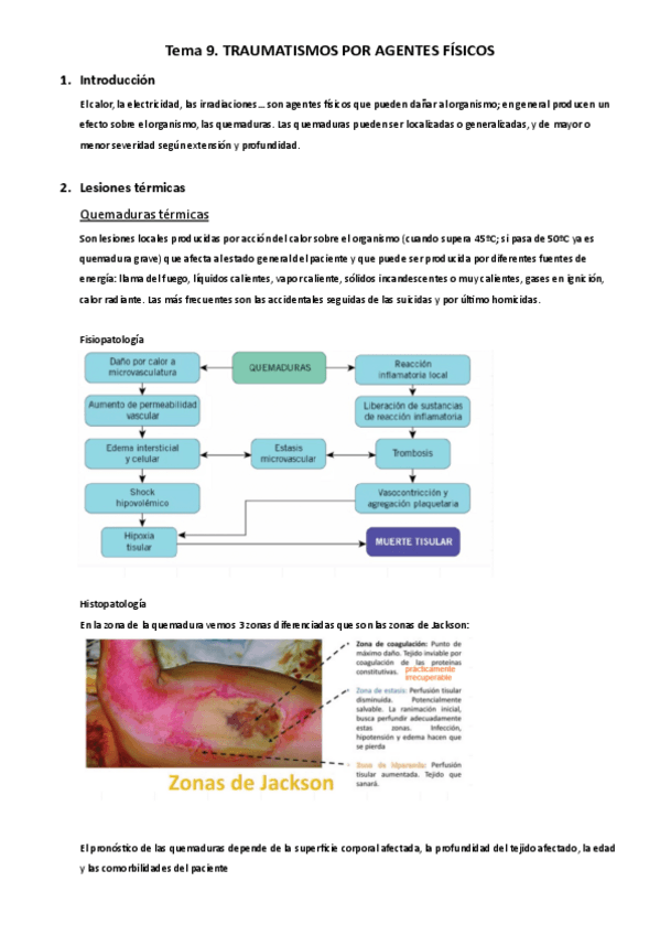 Miniatura del documento ICClase9.pdf