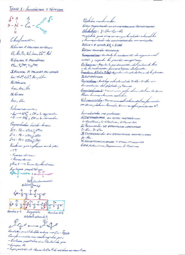 Miniatura del documento Resumenes-Bioquimica.pdf