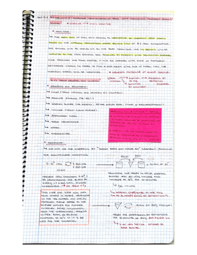 Miniatura del documento Unit 2.pdf