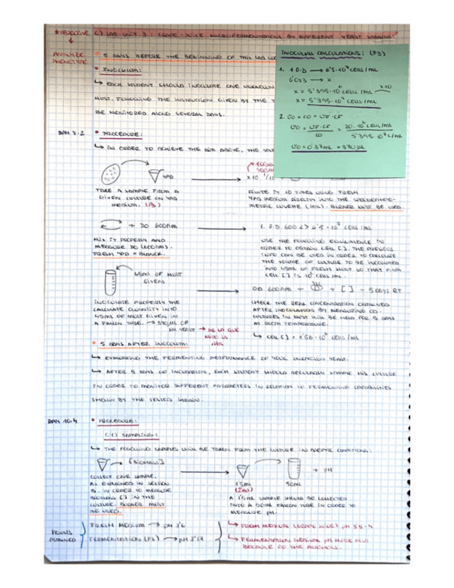 Miniatura del documento Unit 3.pdf