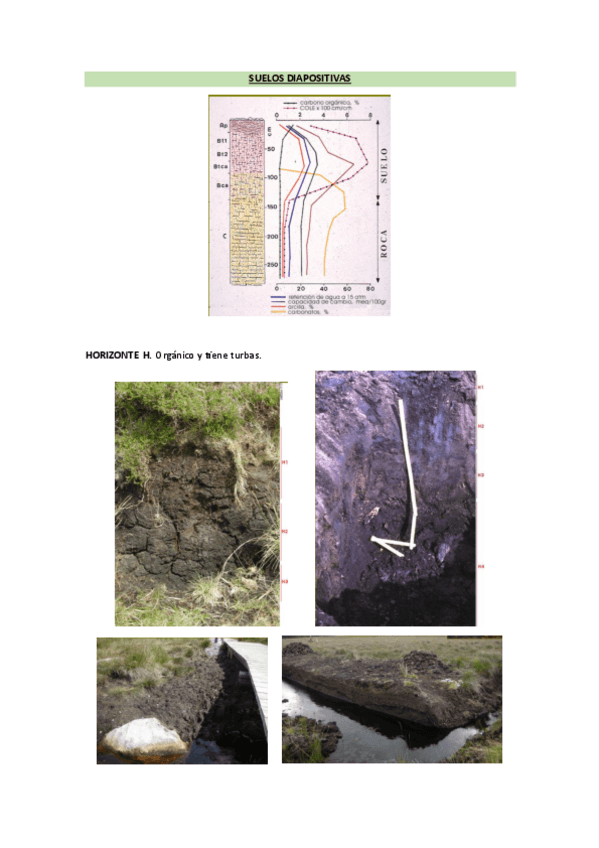 Miniatura del documento CLASIFICACION-DE-SUELOSSUELOS-ADICIONALES.pdf