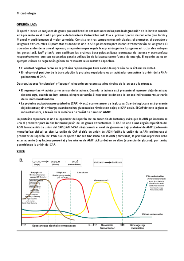 Miniatura del documento Desarrollo-examen-mayo.pdf
