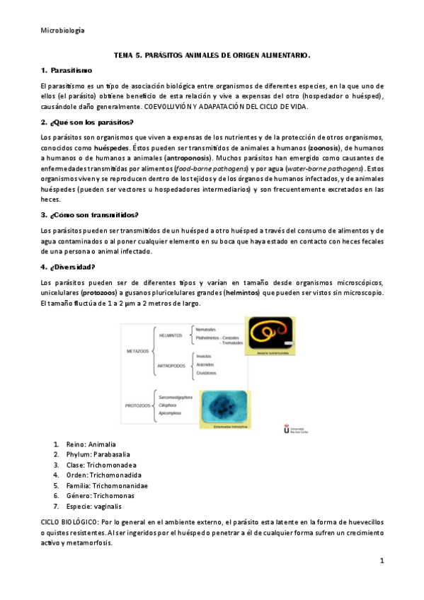 Miniatura del documento RESUMEN-TEMA-5.pdf