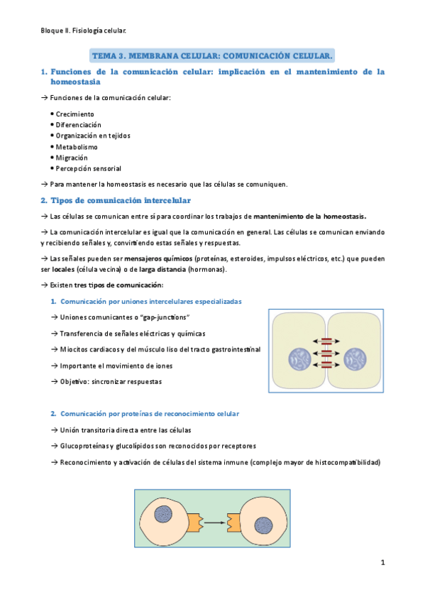 Miniatura del documento Tema-3-resumen.pdf