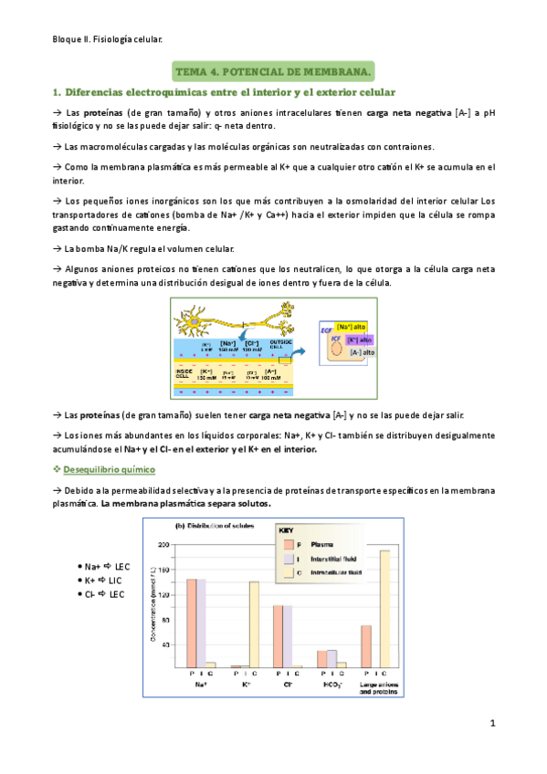 Miniatura del documento Tema-4-resumen.pdf