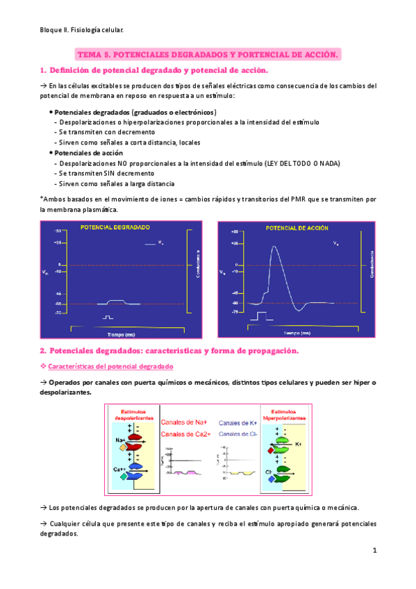 Miniatura del documento Tema-5-resumen.pdf