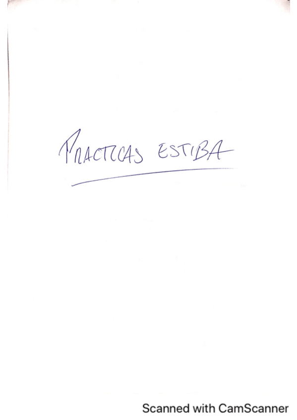 Miniatura del documento Practicas-Estiba.pdf