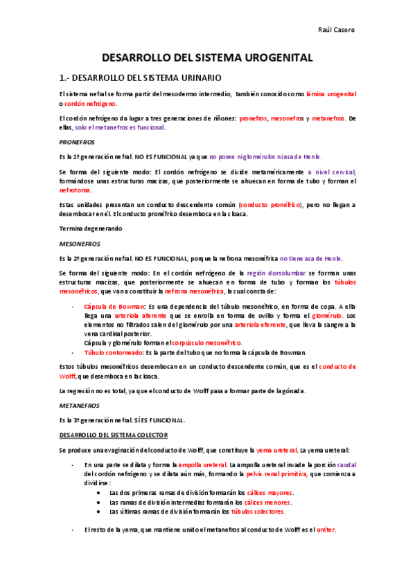 Miniatura del documento 3 DESARROLLO DEL SISTEMA UROGENITAL (2).pdf