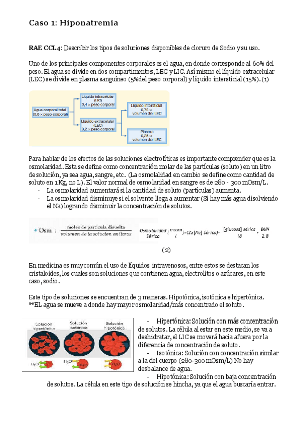 Miniatura del documento Resumen-Caso-Hiponatremia-AIAS-LandE.pdf