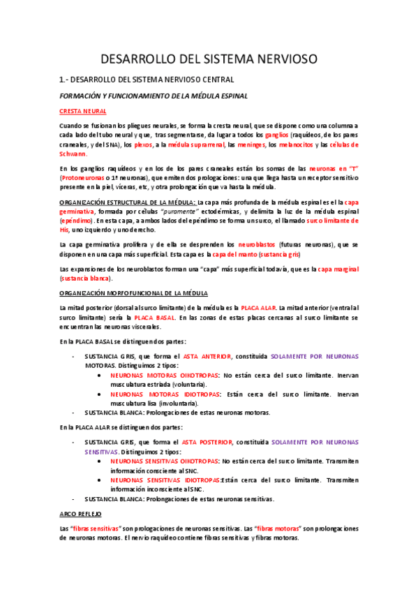 Miniatura del documento 5 DESARROLLO DEL SISTEMA NERVIOSO CENTRAL.pdf