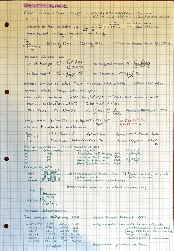 Miniatura del documento Resumen-completo-copt.pdf
