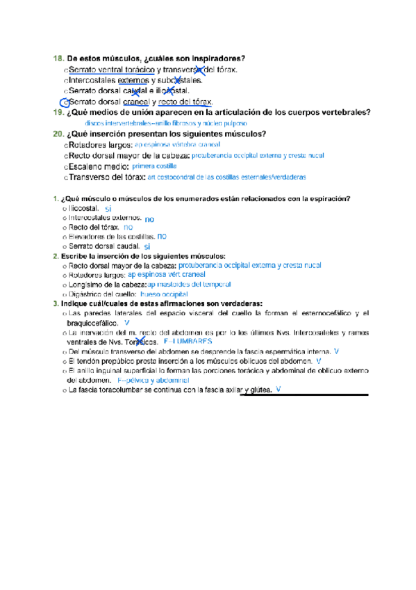 Miniatura del documento examen-raquis-3er-parcial-2.0.pdf