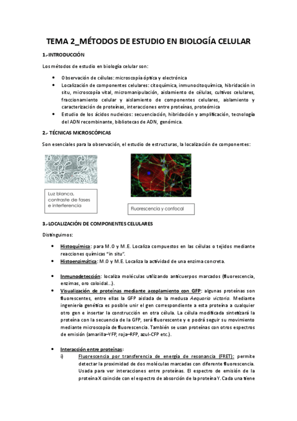 Miniatura del documento APUNTES-CITOLOGIA-E-HISTOLOGIA.pdf