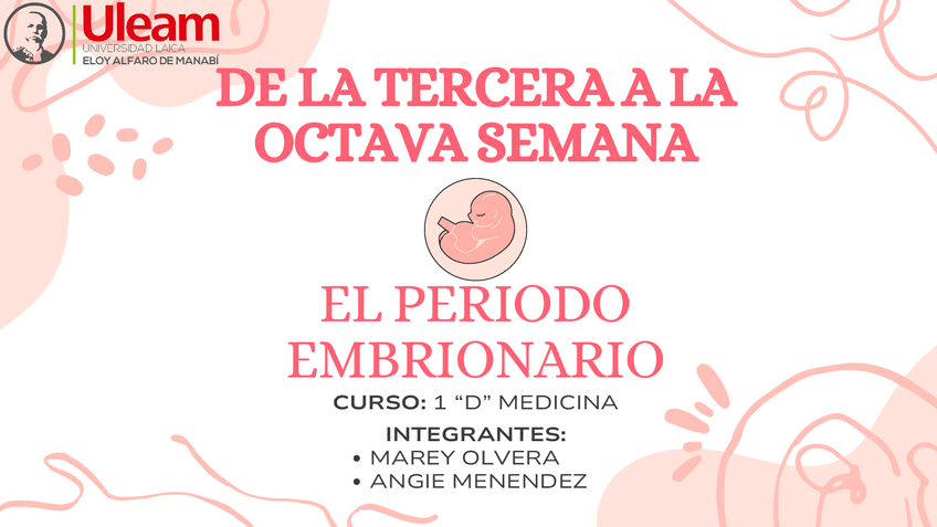 Miniatura del documento Embriologia.-Organogenesis.pdf