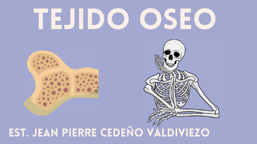 Miniatura del documento HISTOLOGIA-TEJIDO-OSEO.pdf