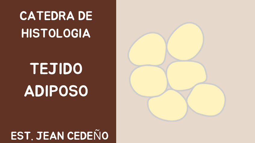 Miniatura del documento Tejido-Adiposo.-Histologia.pdf