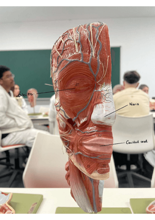 Miniatura del documento Imagenes-practica-5.pdf