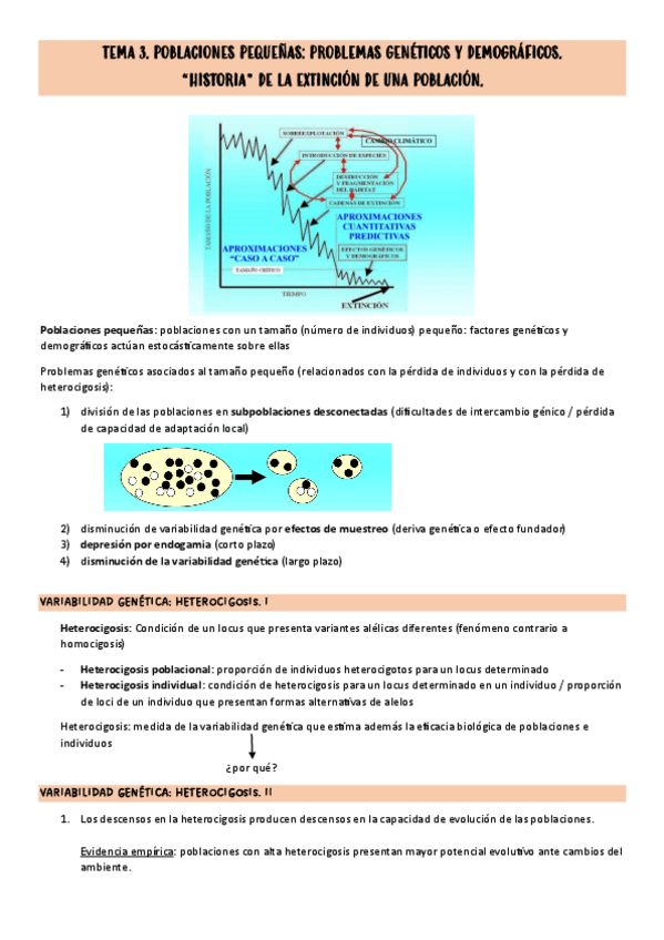 Miniatura del documento TEMA-3.pdf