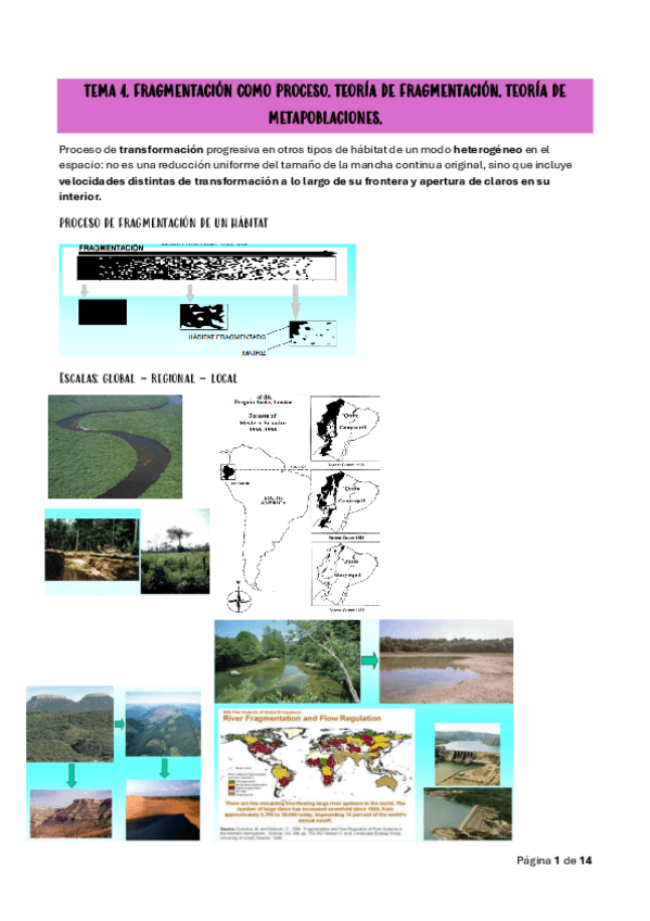 Miniatura del documento TEMA-4.pdf
