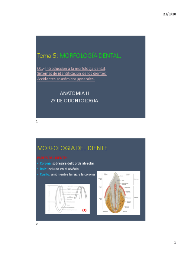 Miniatura del documento TEMA-5.-1-GENERALIDADES.pdf