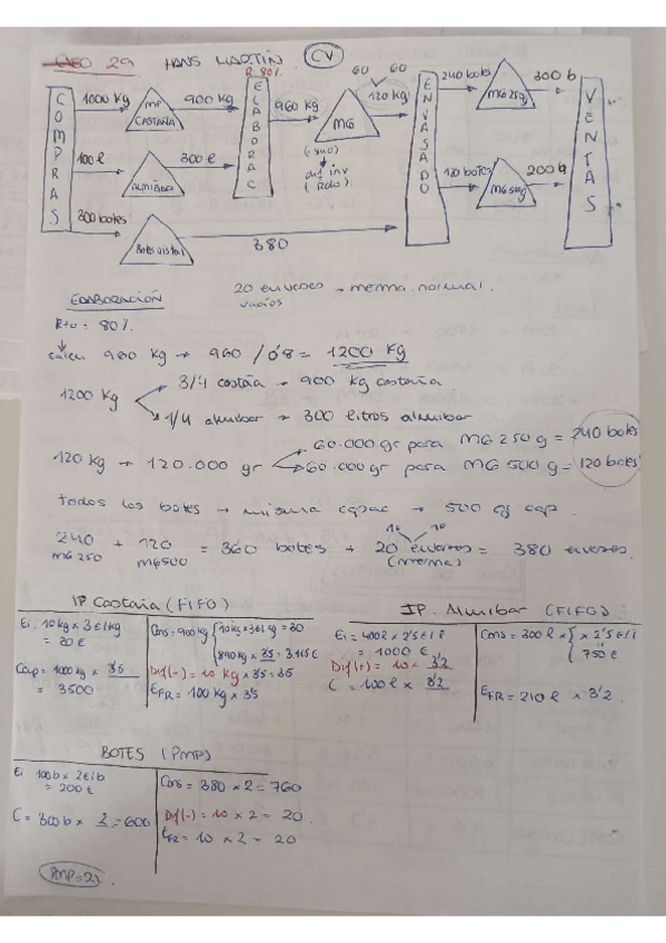 Miniatura del documento hans-martin.pdf