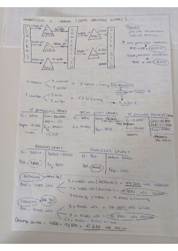 Miniatura del documento lanosa.pdf