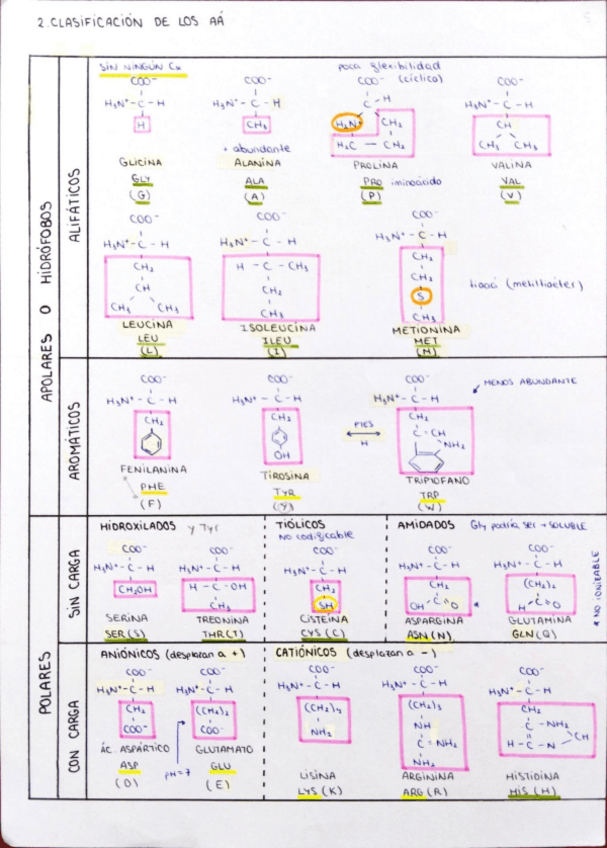 Miniatura del documento tablas-clave-para-curvas-de-titulacion-aminoacidos.pdf