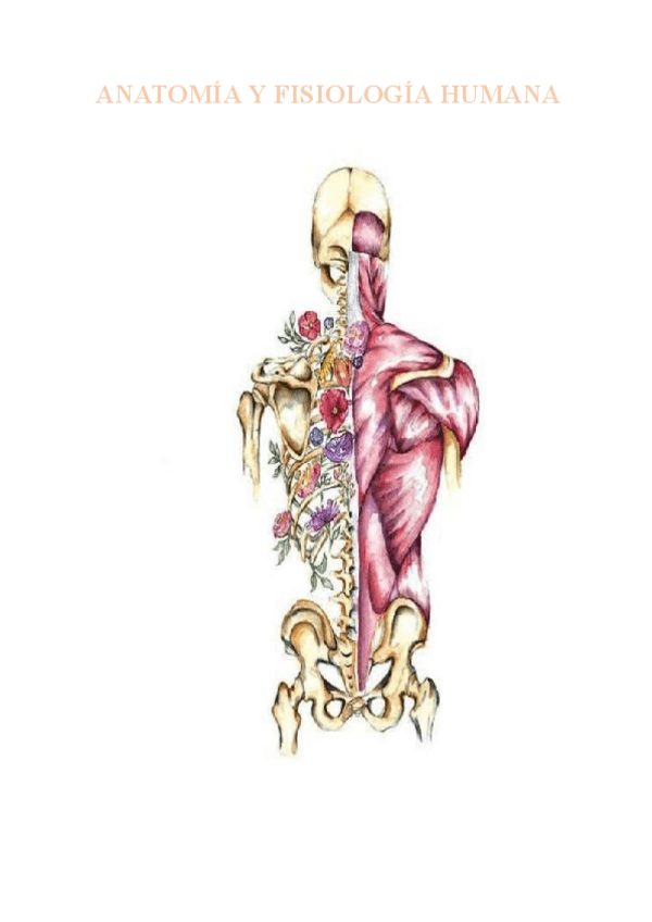 Miniatura del documento ANATOMIA y fisiología. Nota media: 7 (ordinaria).pdf