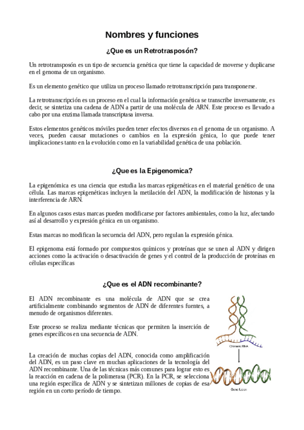 Miniatura del documento Apuntes-Parte-de-Concha.pdf