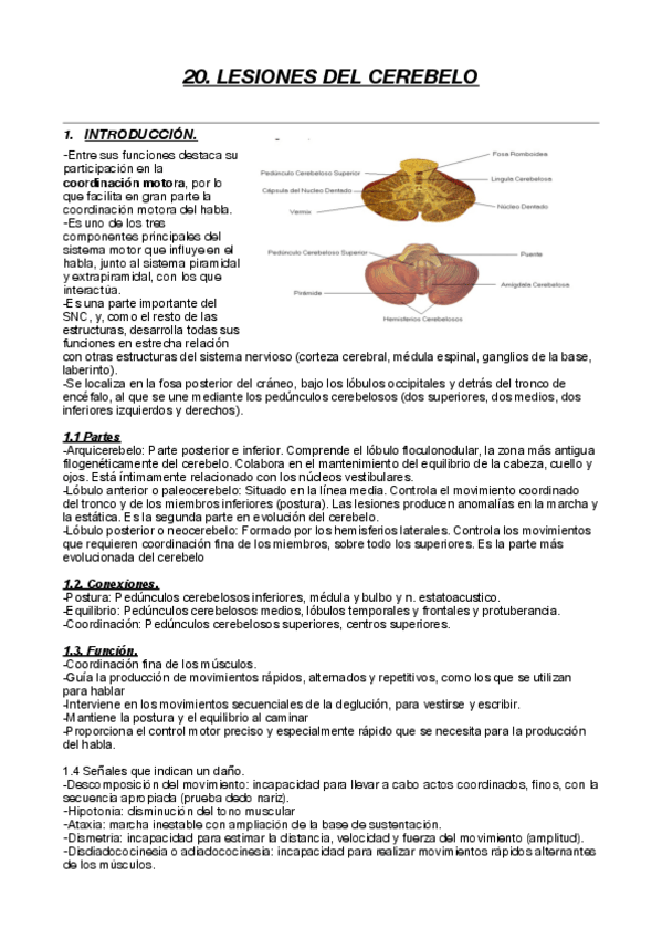 Miniatura del documento 20.-LESIONES-DEL-CEREBELO.pdf